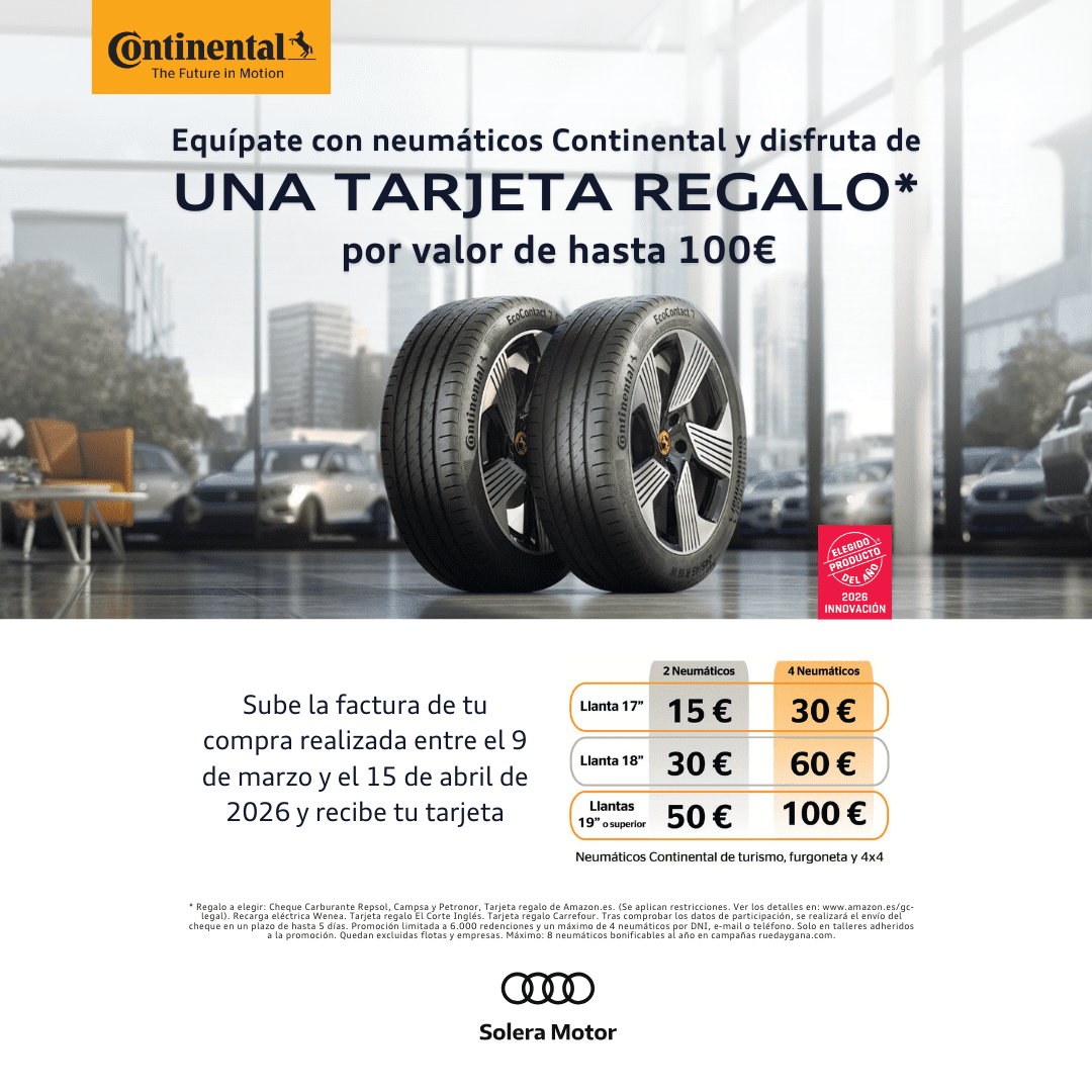 Los neumáticos juegan un papel fundamental en la experiencia de conducción. Asimismo, los neumáticos contribuyen a la seguridad en la conducción, prestando un excelente agarre sobre terrenos secos y sobre mojados